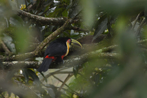 Sun Rock Climb - Image 3