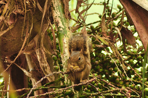 Sun Rock Climb - Image 4