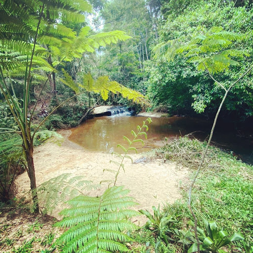 Camping das Estrelas - Image 2