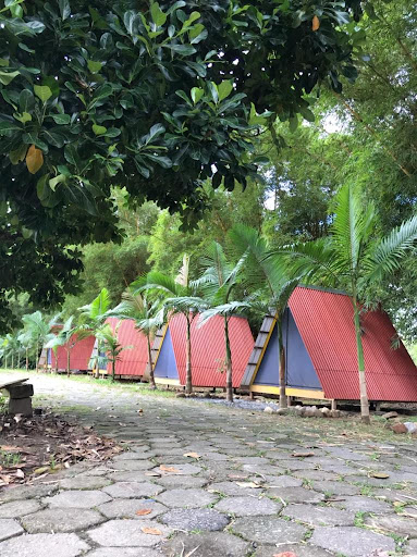 Paraíso do Éden - Image 3