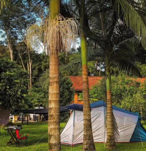 Paraíso do Éden - Image 4