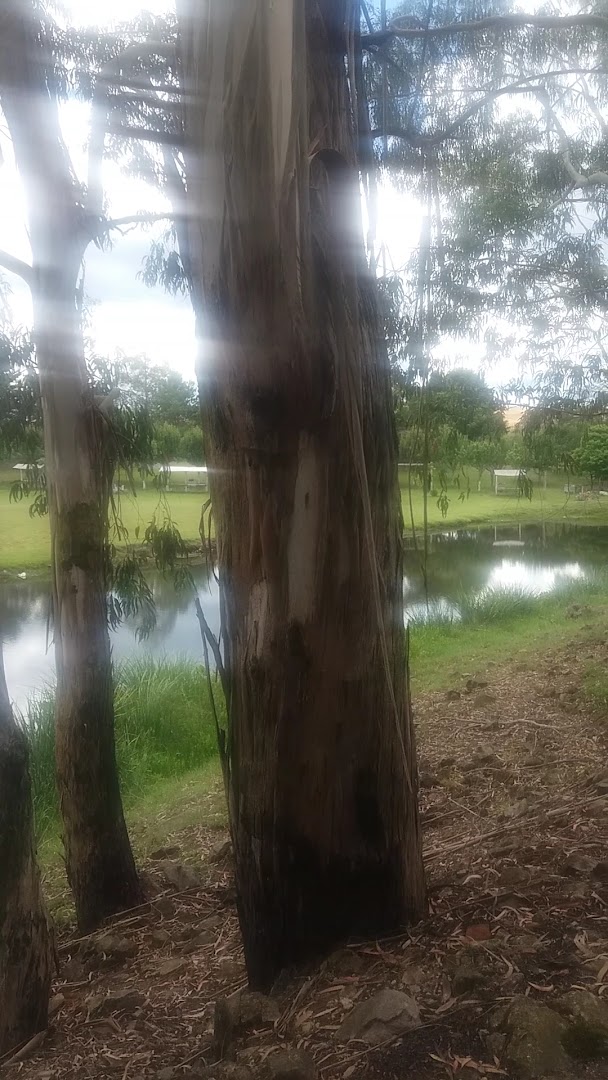 Camping Nossa Senhora Aparecida - Image 2