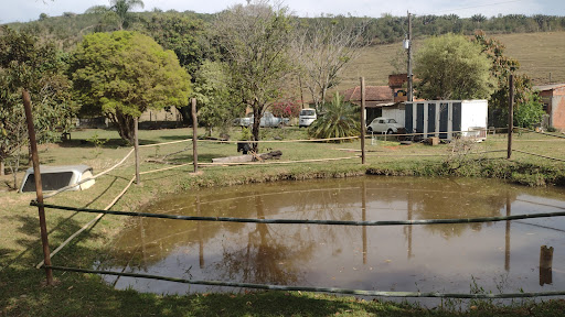 Camping Municipal (Baln. Tur. Jacutinga) - Main Image