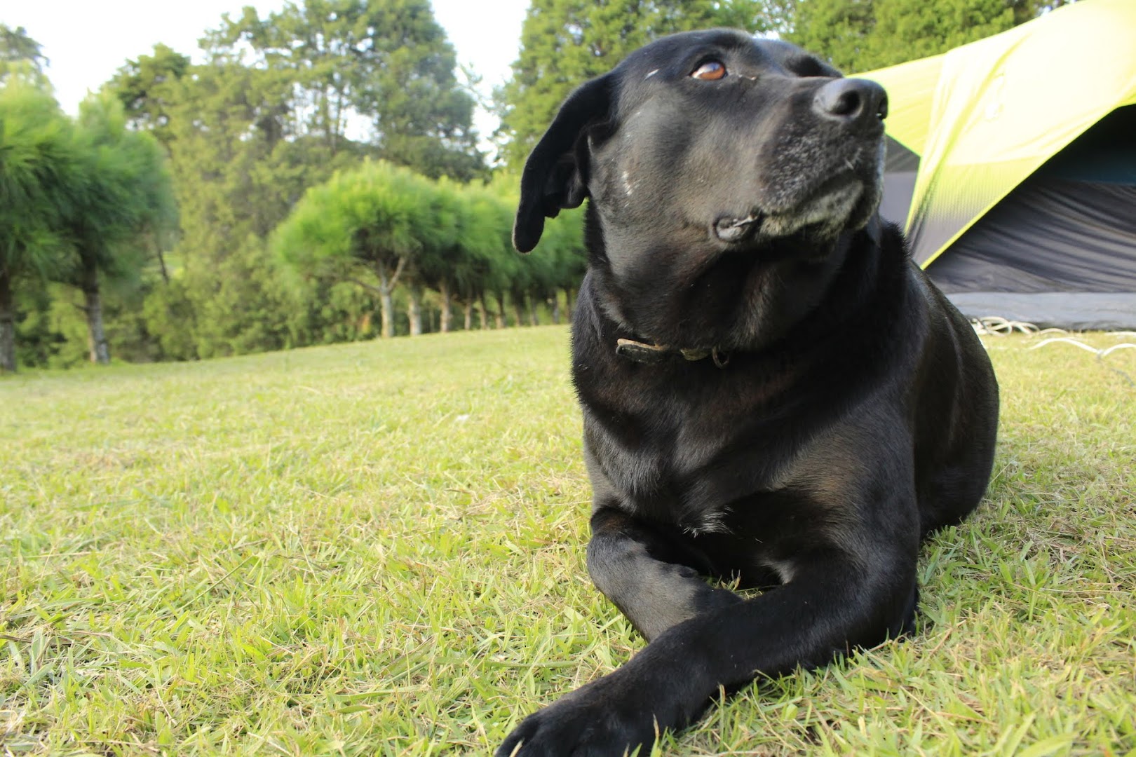 Camping das Gaúchas - Image 4