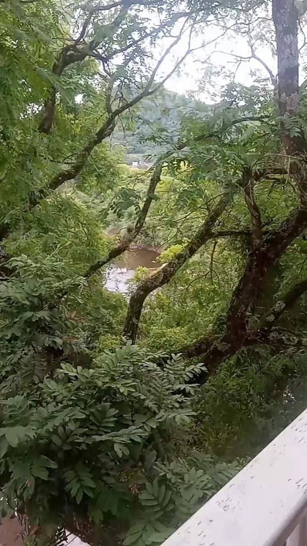 Camping Balneário Municipal Atilio Aléssio - Image 2