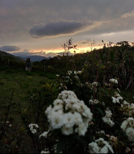 Camping jardim secreto - Image 2