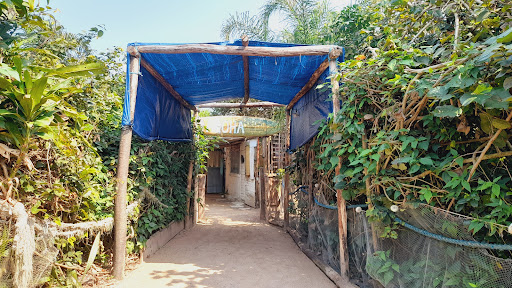 CAMPING JUNDÚ Hospitalidade e Arte uma experiência caiçara - Main Image