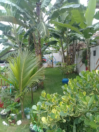 Camping Raio de Luz - Image 2