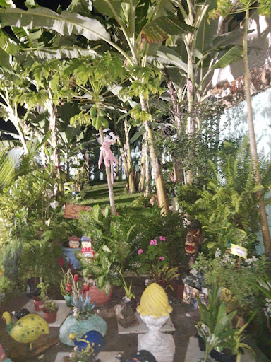 Camping Raio de Luz - Image 3