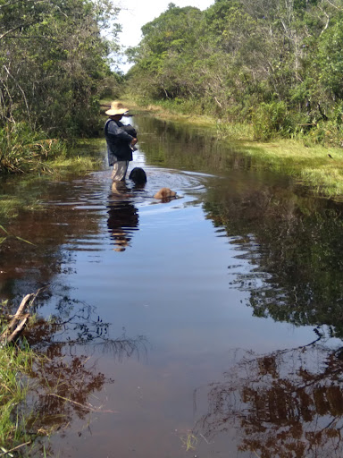 Camping do Gugu - Image 4