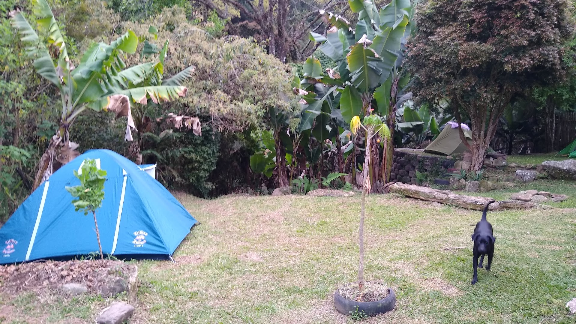 Abrigo de Montanha Nativus - Image 2