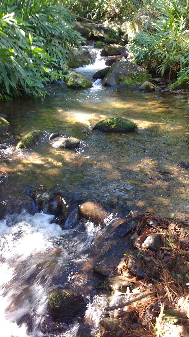 Abrigo de Montanha Nativus - Image 5