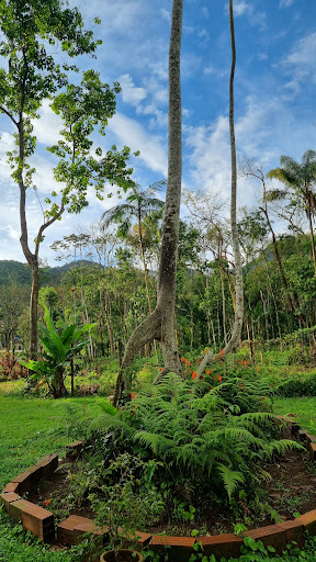 Cantinho da Embauba Camping e Cabanas - Ubatuba - Image 4