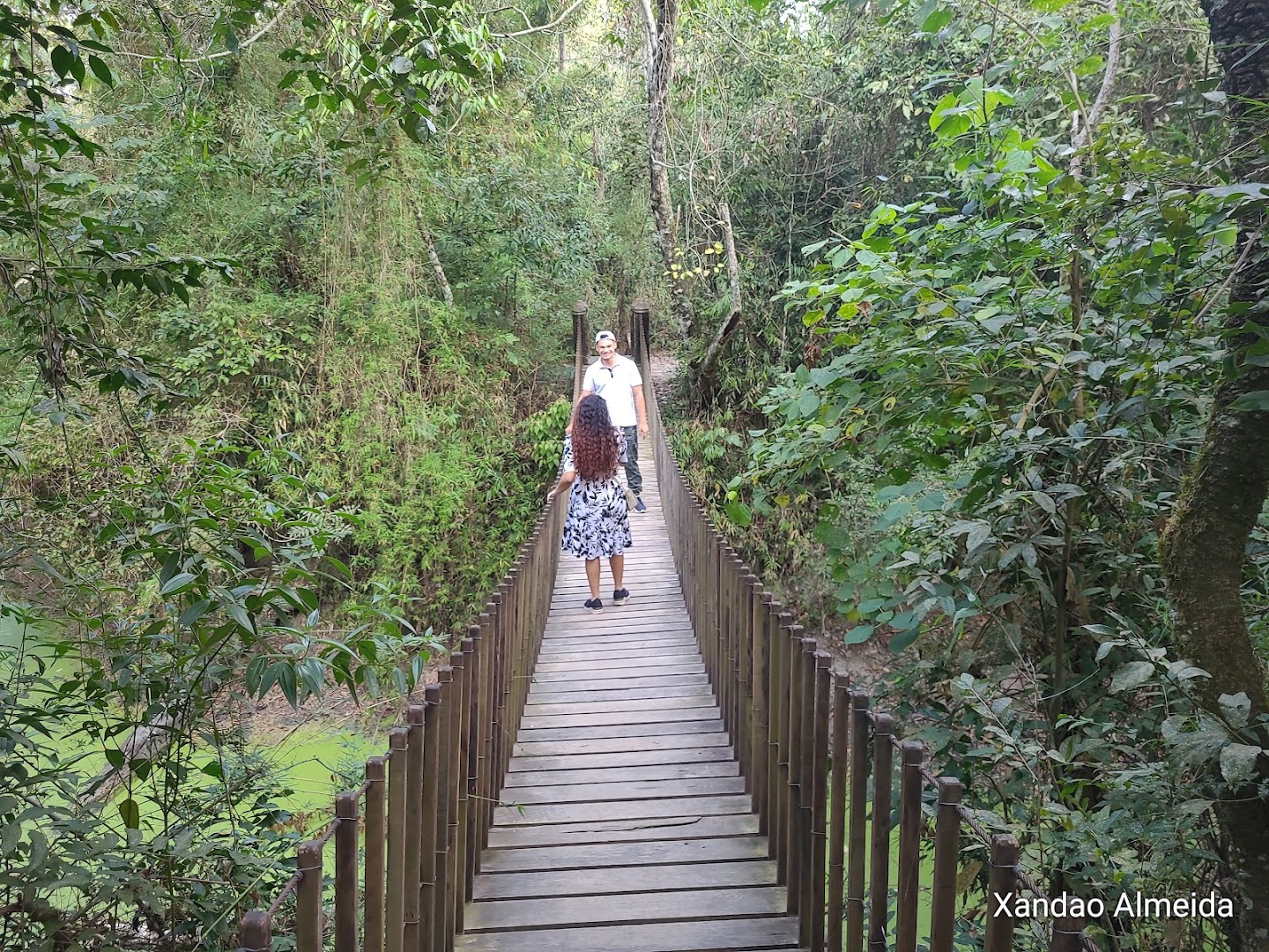 Parque Estadual do Morro do Diabo - Sede - Main Image