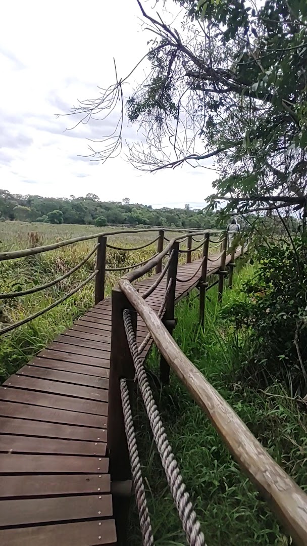 Parque Estadual do Morro do Diabo - Sede - Image 2