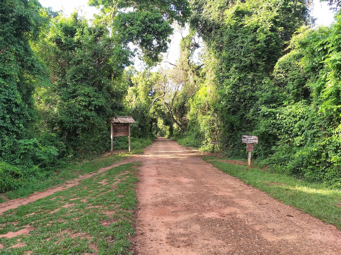 Parque Estadual do Morro do Diabo - Sede - Image 5