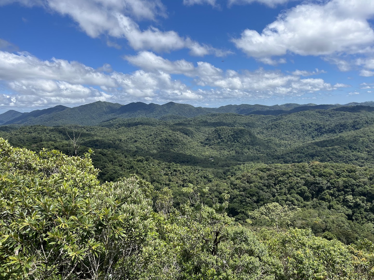 Parque Estadual Intervales - Main Image