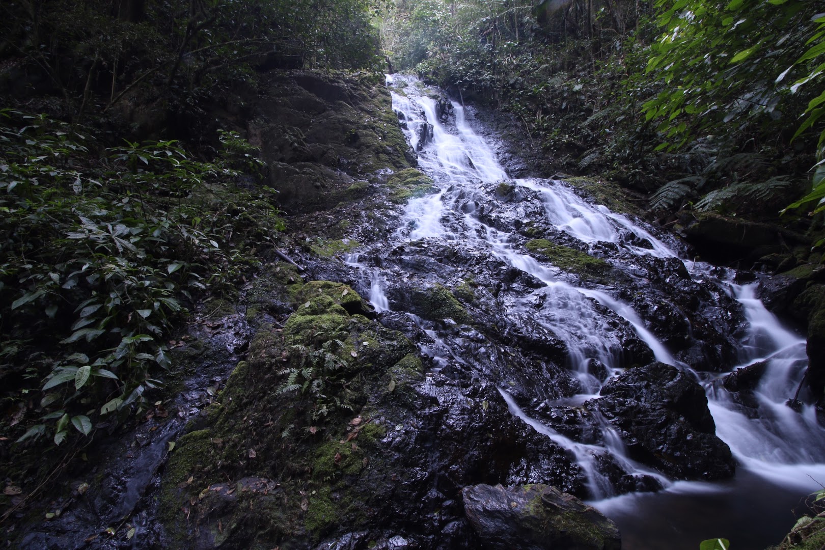 Parque Estadual Intervales - Image 3