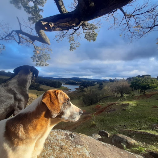 Camping Zé do Lopo - Image 4