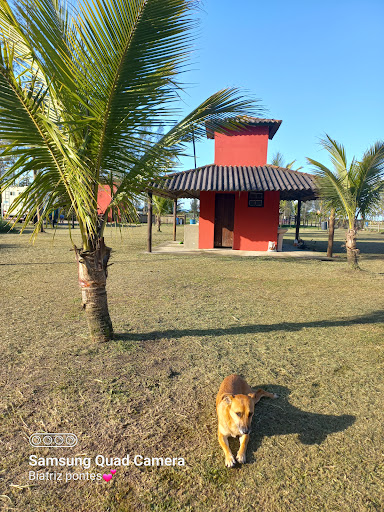 Camping Bacharel - Main Image