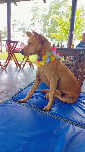 Camping Bacharel - Image 4