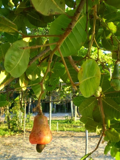 Camping Massaguaçu - Image 2