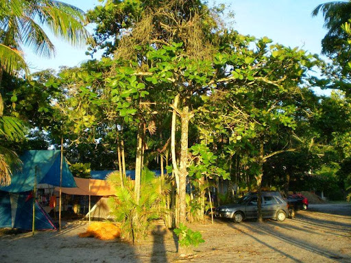 Camping Massaguaçu - Image 3