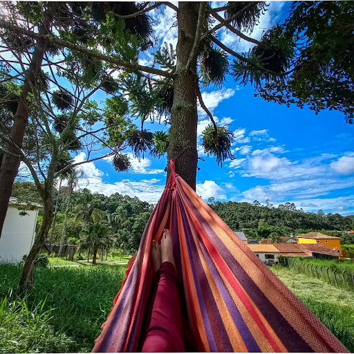 EcoviLab - Permacultura - Image 3