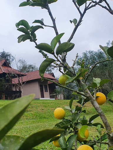 Balneário Retiro - Image 3