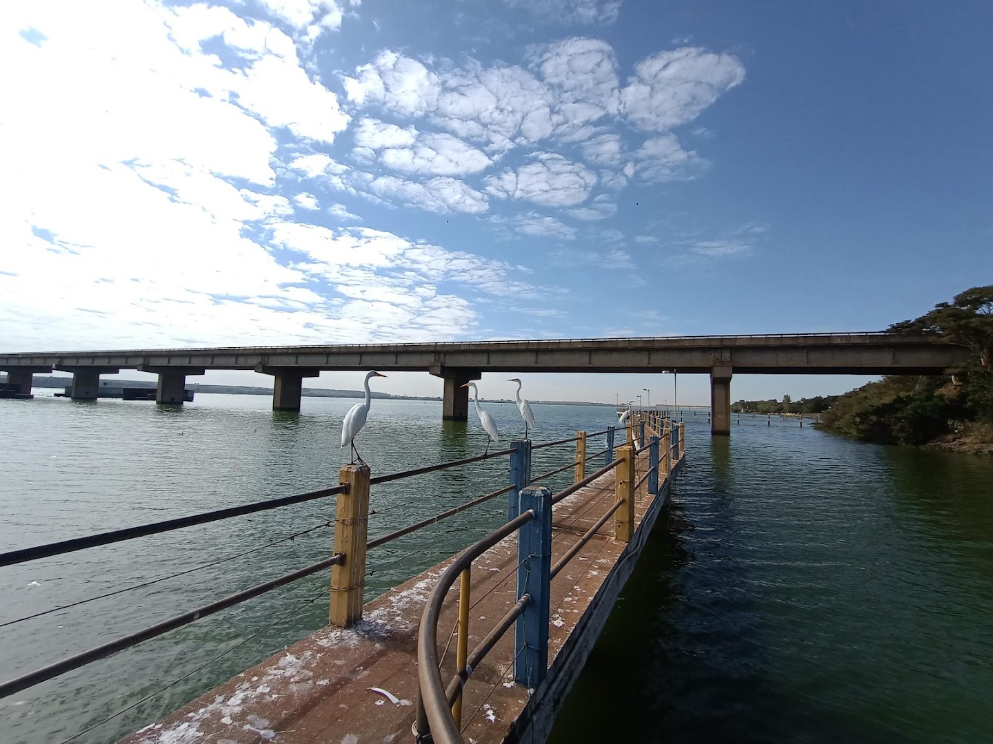 Camping SEPSA - Image 3