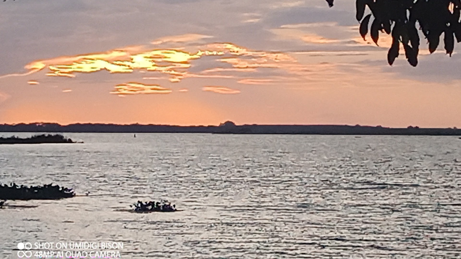 Camping SEPSA - Image 5