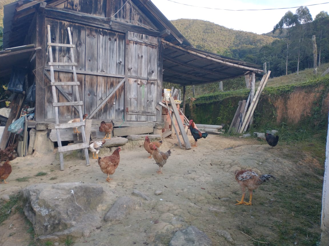 Pousada e camping D. Palmira/Casa Pintada - Image 3