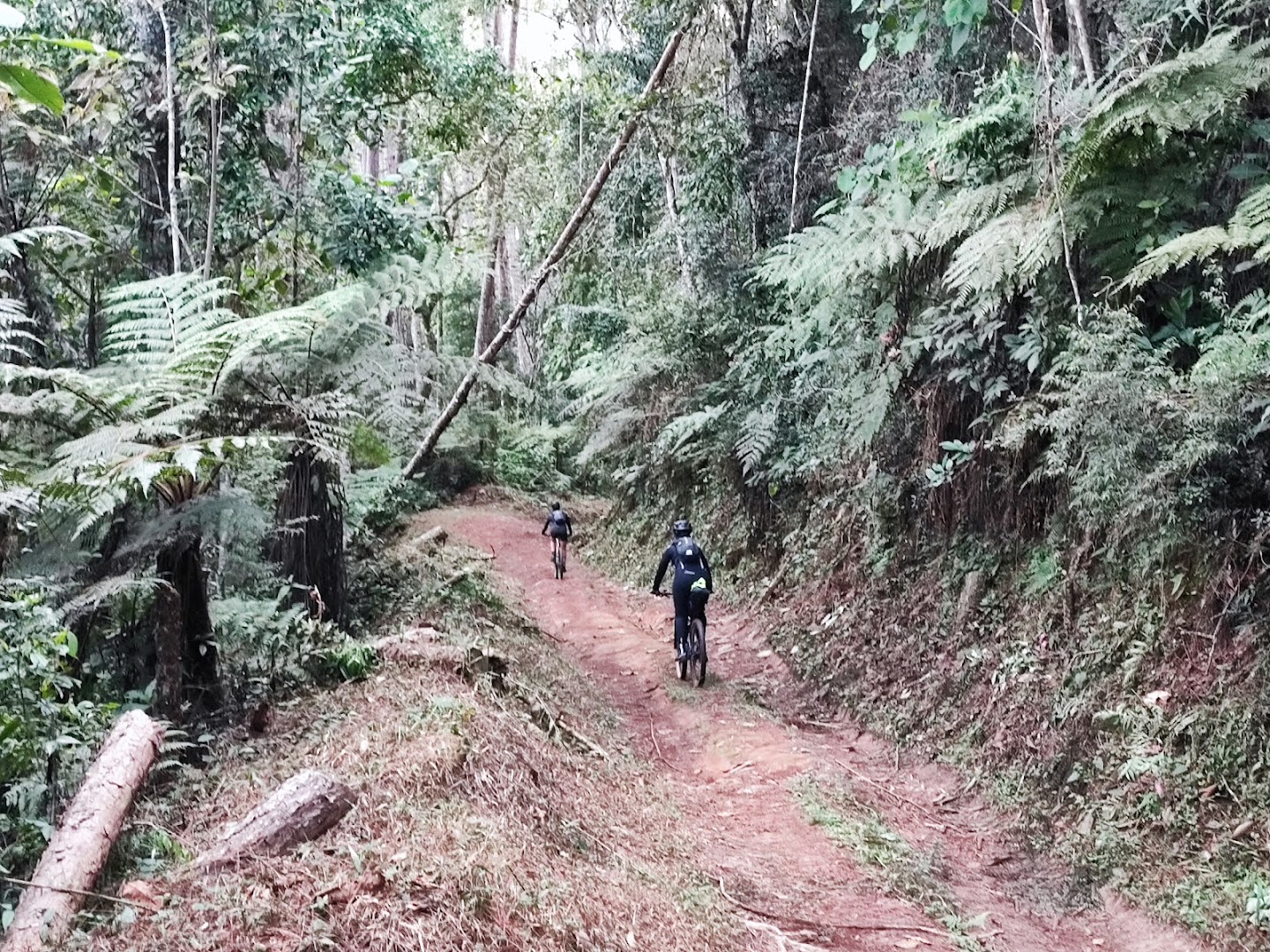 Pousada e camping D. Palmira/Casa Pintada - Image 4