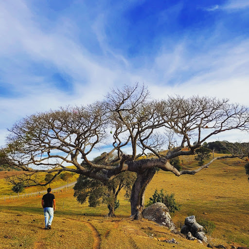 Camping Zé do Côco - Image 3