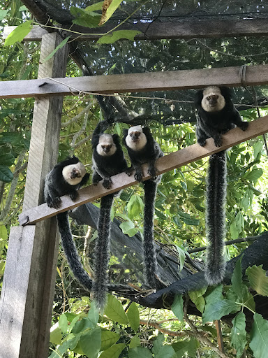 Camping Verdeperto - Image 3