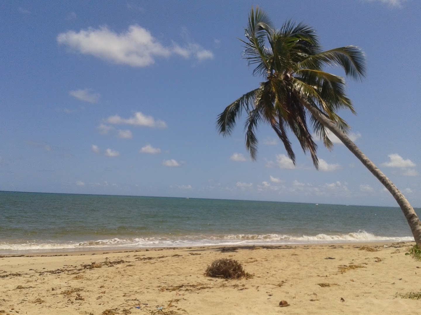 Camping Praia do Gravatá - Image 3