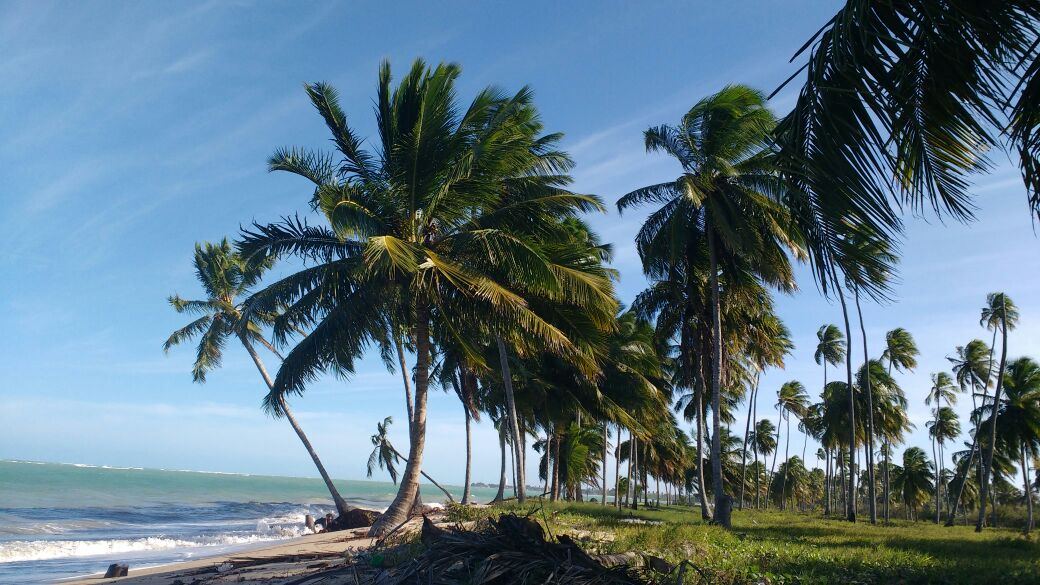 Camping Praia do Gravatá - Image 4