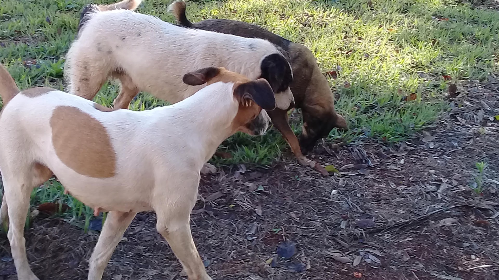 Marina Camping Club - Image 5