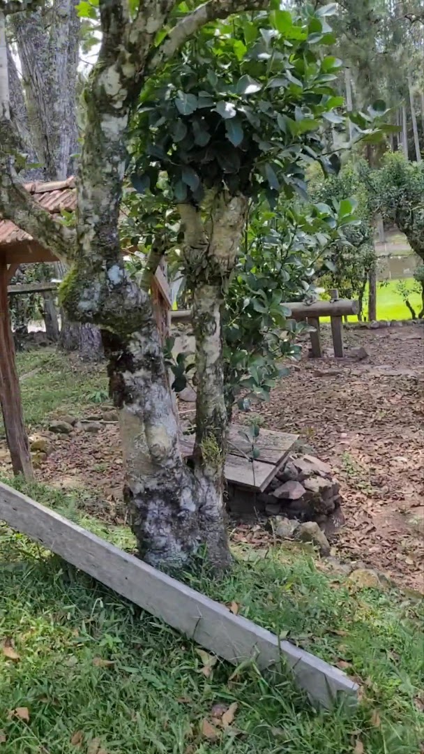 Camping Parque de Eventos – Pq do IBAMA - Image 2