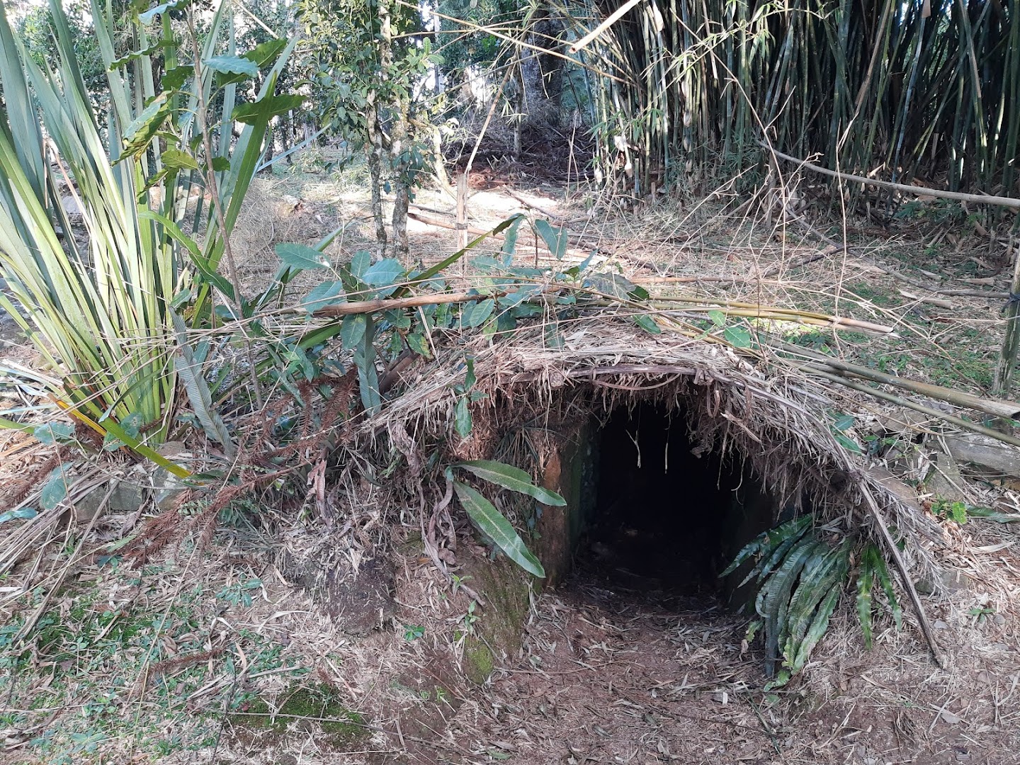 Camping Parque de Eventos – Pq do IBAMA - Image 4