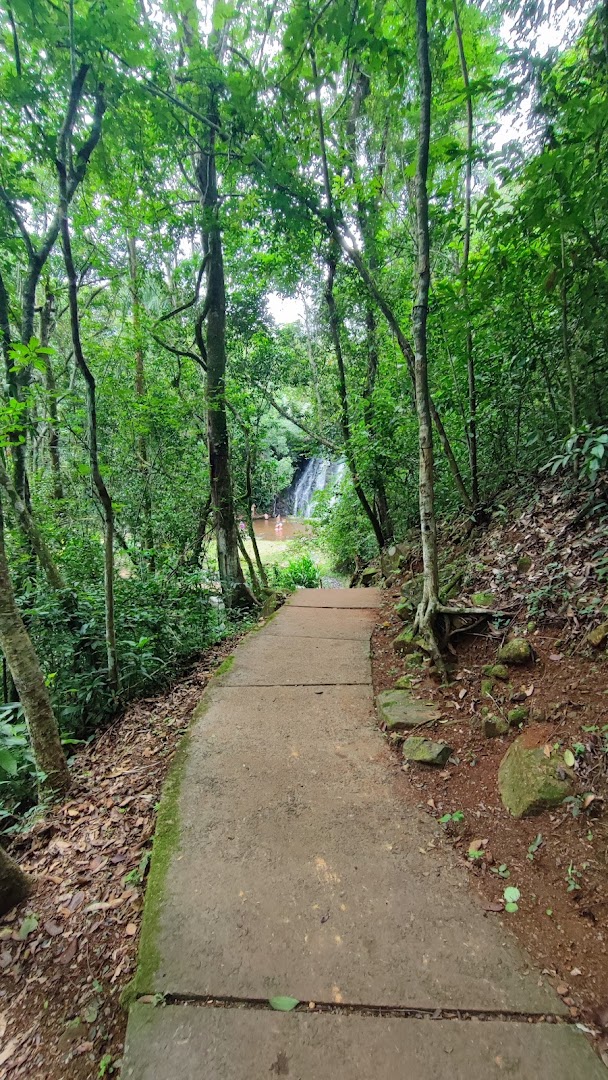 Cascata Dorigon - Image 5