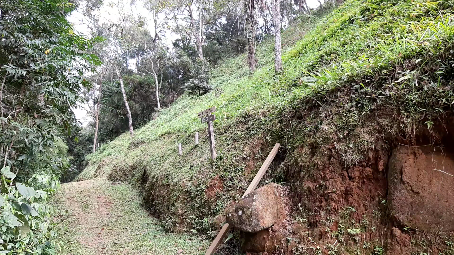 Tangará Camping - Image 2