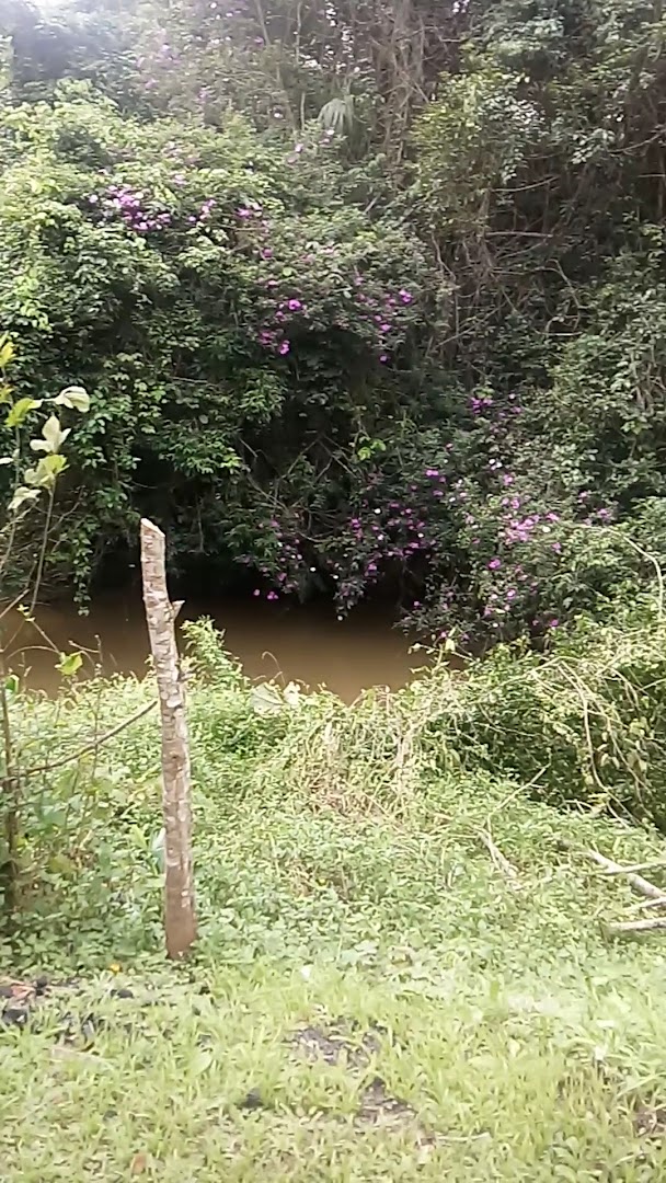 Pilacanto Camping - Image 2