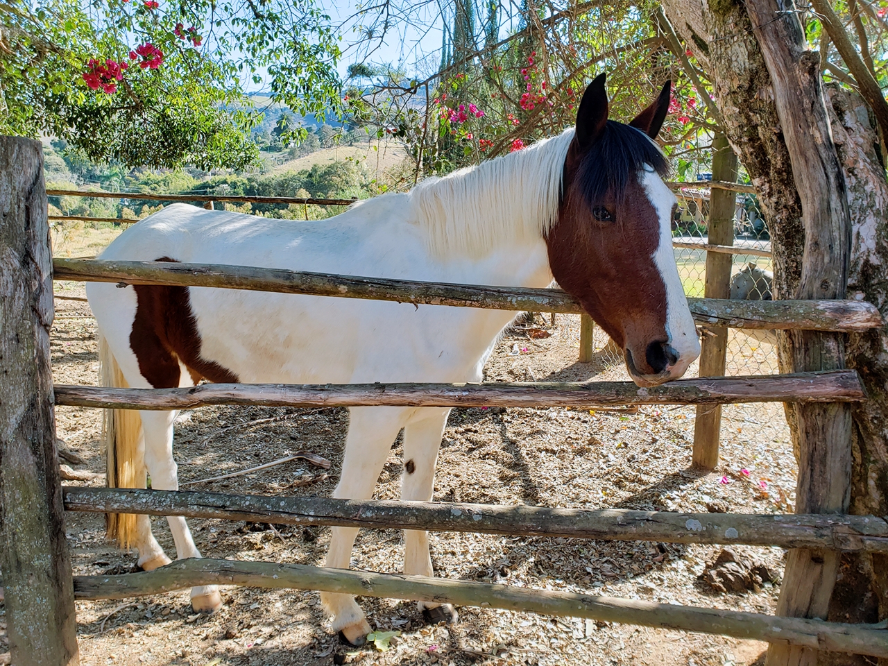 Hostel Cantinho Família Aventura - Image 5