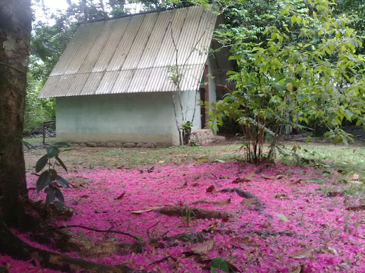 Campyng TIO FÁBIO - Image 3