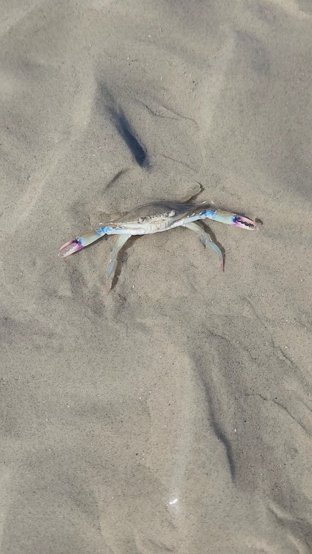 Camping Pé na Água - Image 5