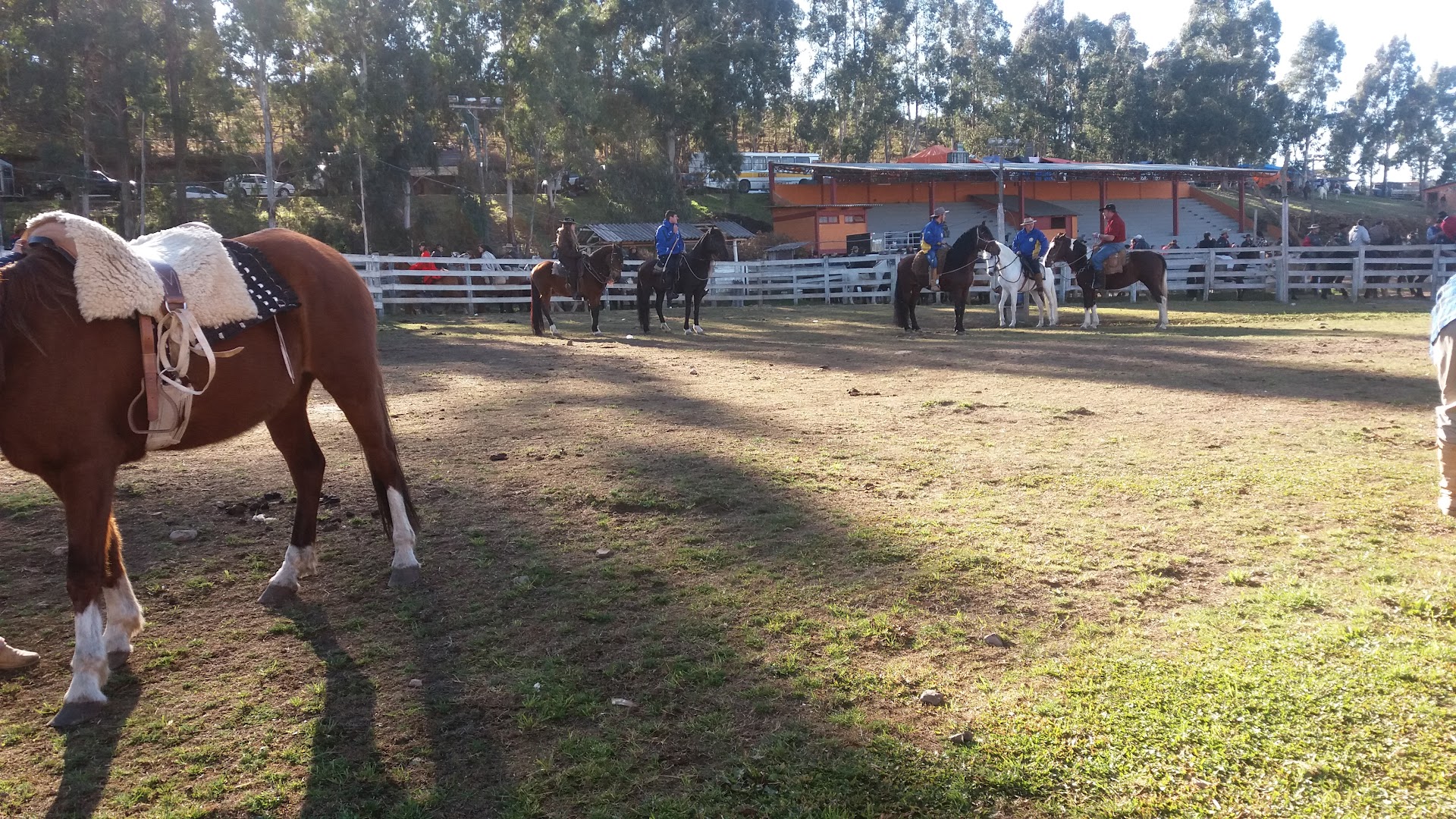 PARQUE NACIONAL DA MAÇÃ - Image 5