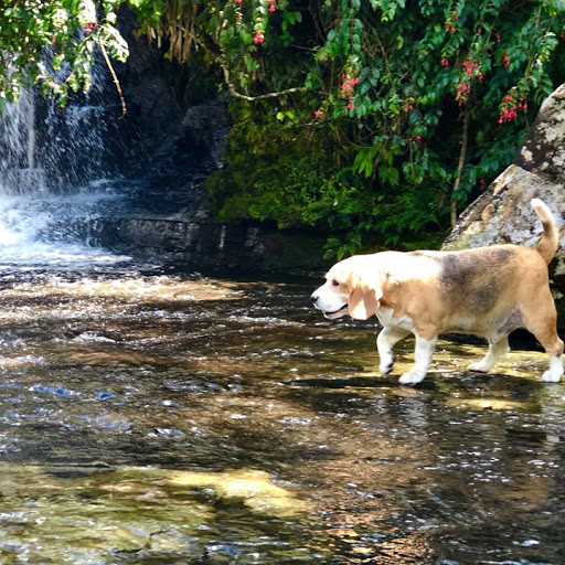 Camping Cachoeira Formosa - Image 2