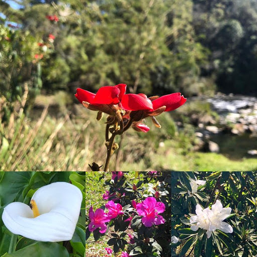 Camping Cachoeira Formosa - Image 4