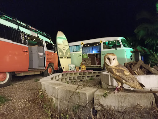 Valle do Tel - Image 2